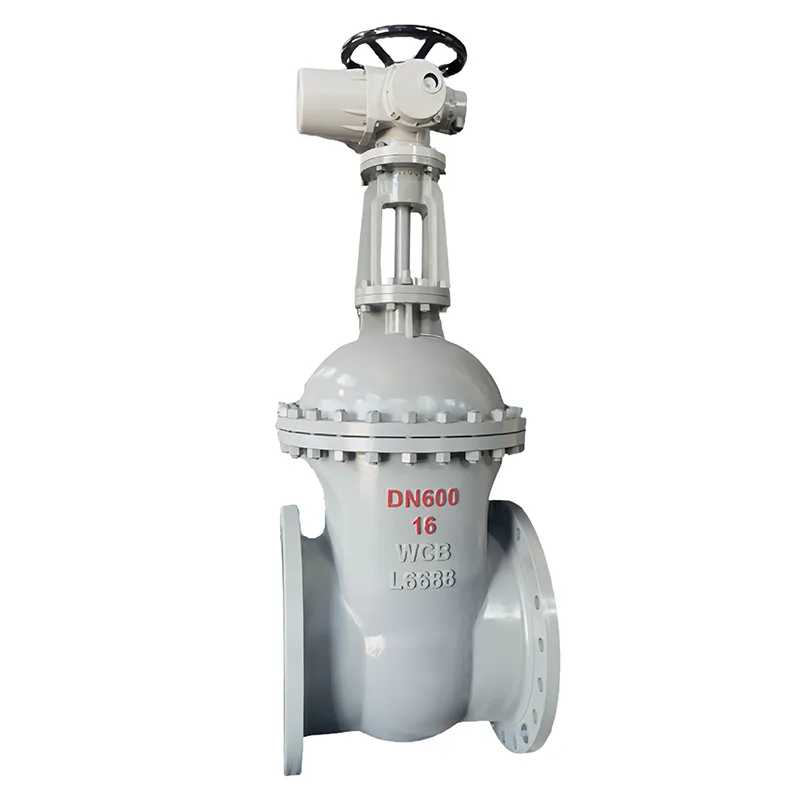 Uhlíková ocel National Standard Gate Valve